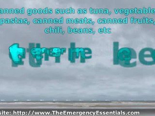 Survival Food List - The Emergency Essentials