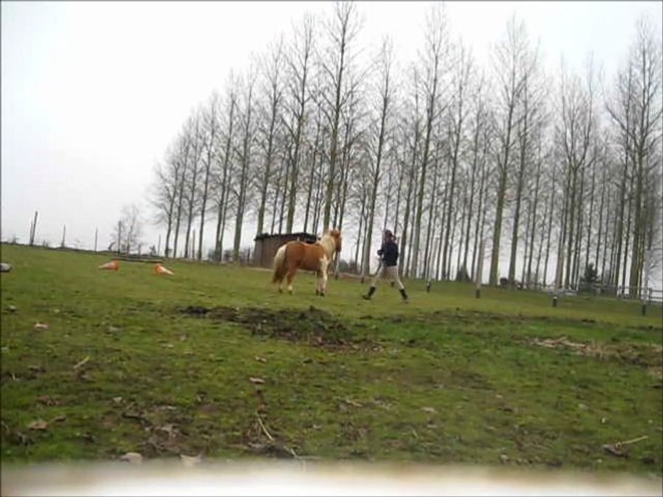 Cara21fev2011