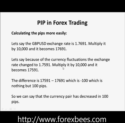 what is pip in forex trading