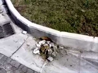 Aversa - Pavimento divelto nel cimitero