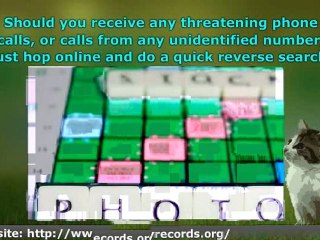 Reverse Phone Lookups Are Easy to Access But Not Free