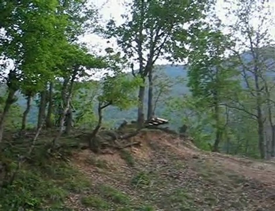 Ride First Think Later