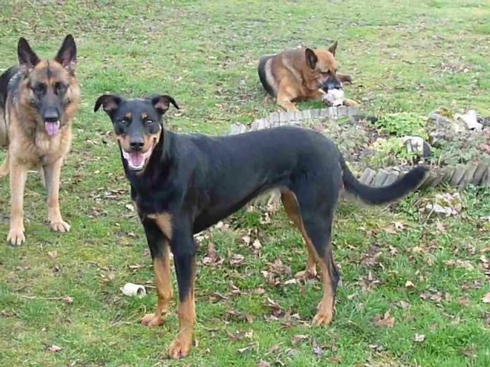 jeu entre Eris et Aïna 5