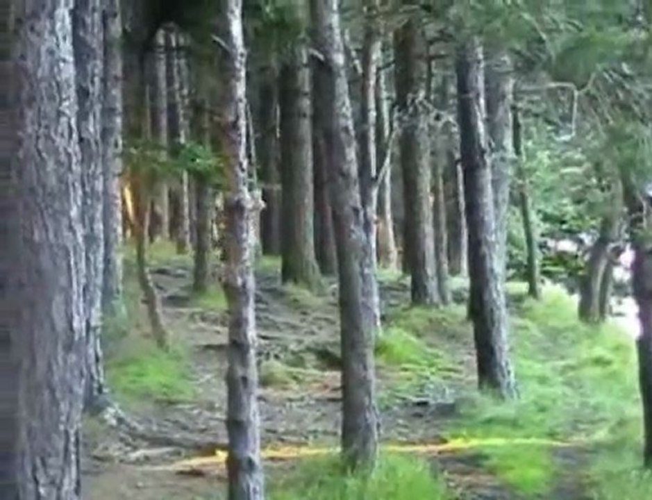 Riding video