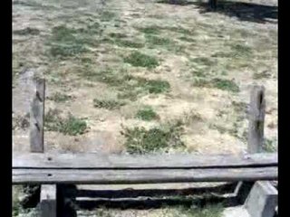 Aversa - Parco Pozzi, l'incubo abita qui