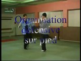 Savate - combat et defense