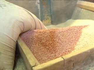 La quinua: un recurso frágil que seduce a los mercados