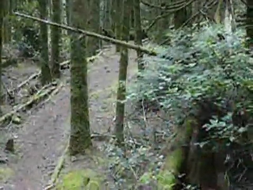 First Bike Video