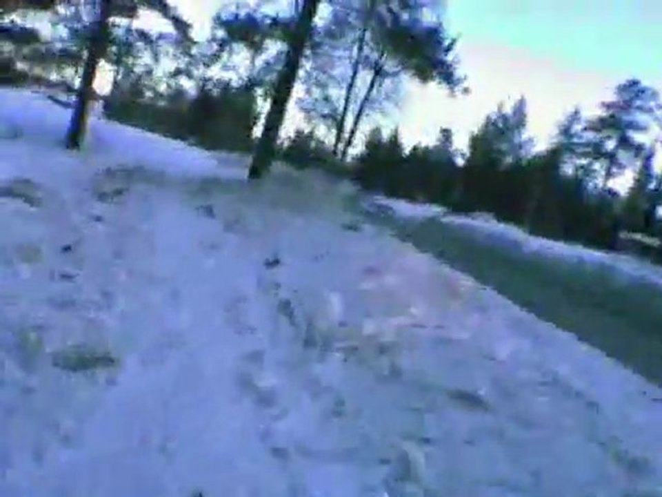 Drive It Like You Stole It