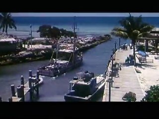 Critique Blu-ray Flipper (1996)