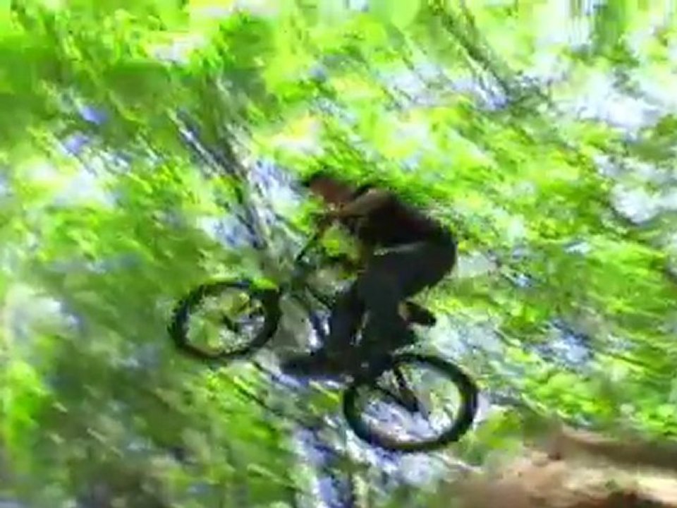 Start of Vid section