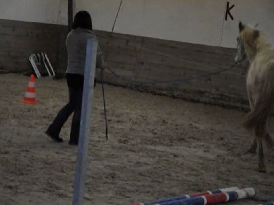 cours etho Velasco 20.02.2011