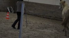 cours etho Velasco 20.02.2011
