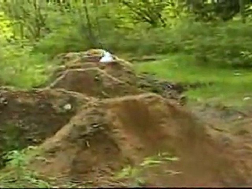 River Jumps
