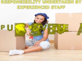 Cheap Transportation Services With Quality