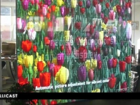 Ecran géant LED vitrine 7m² (pitch 6mm - 2500 cd/m²)