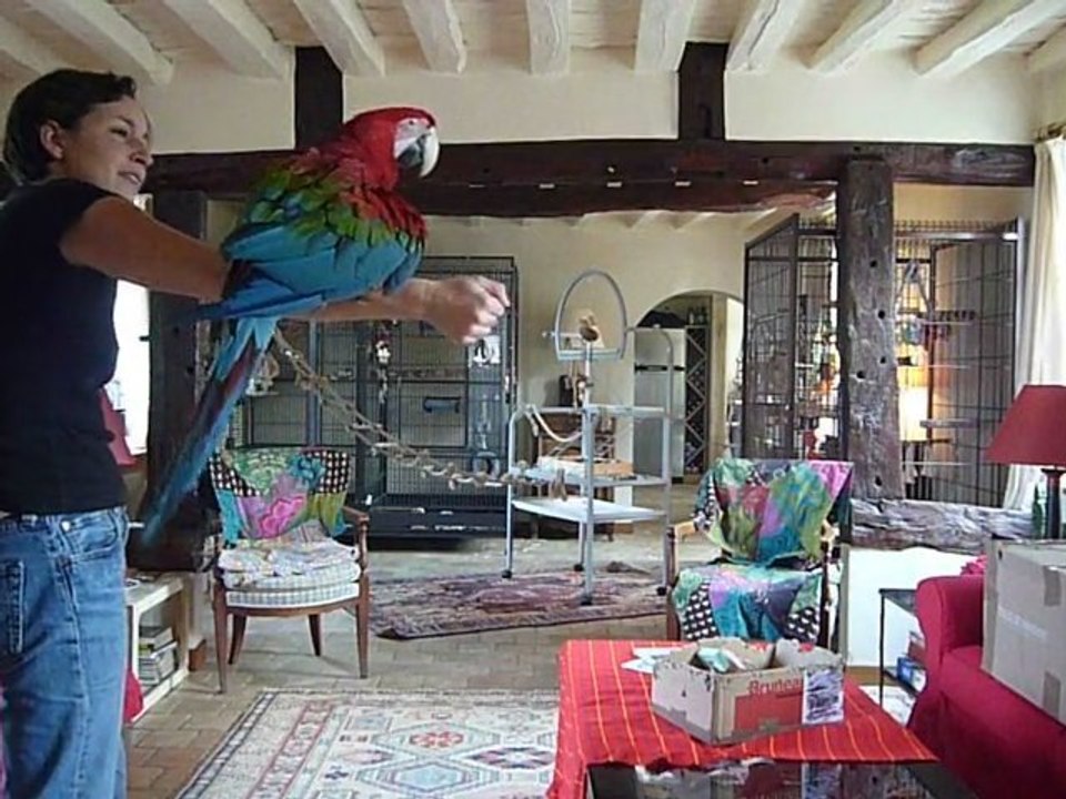 Petits exercices avec Gabyg