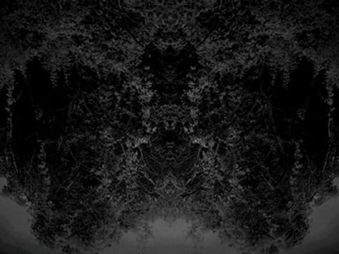 Laura Pawela GSW Opole 1