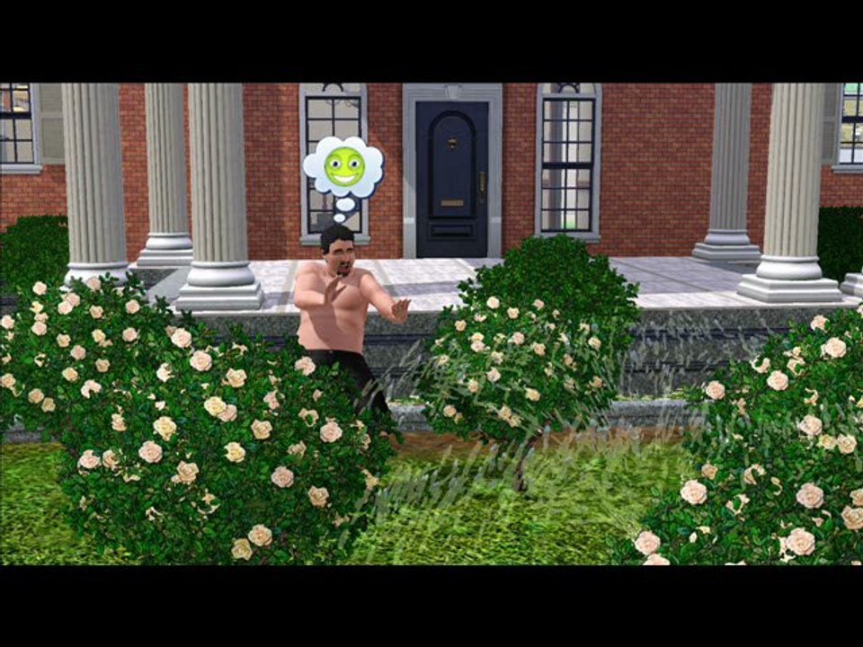 VABB (virtuelles Animexx Big Brother): Tag 1