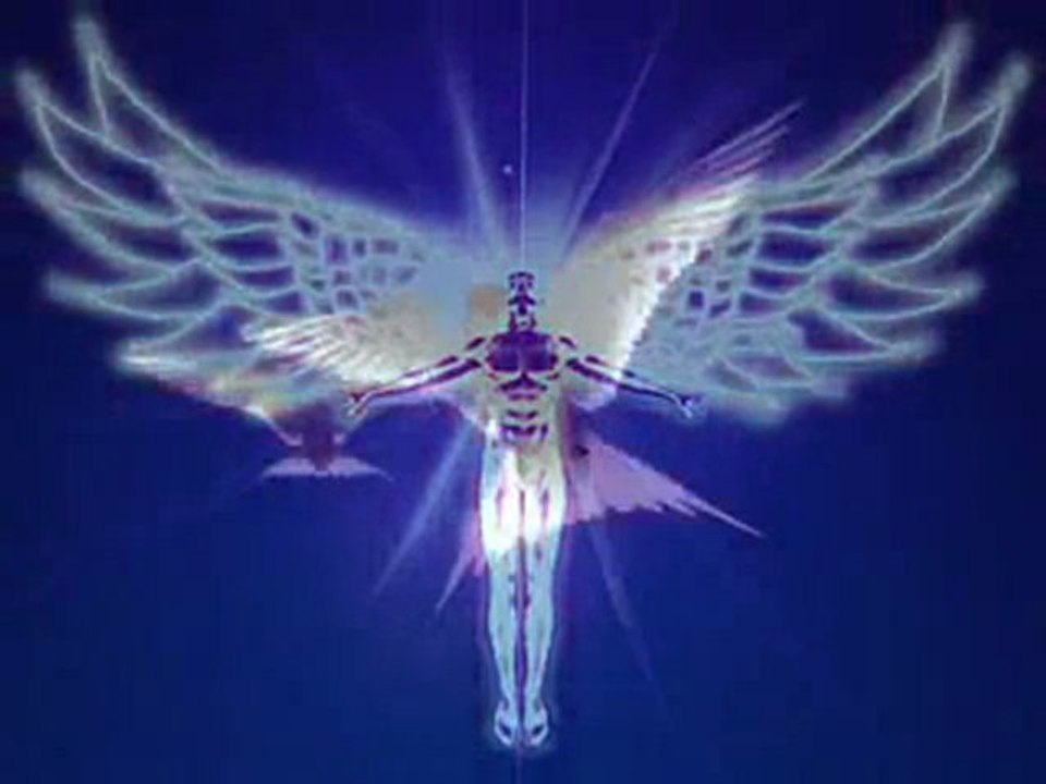 Angelic-Human-Race
