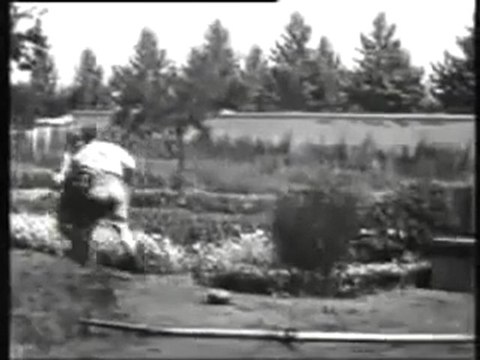 Le jardinier (1895) - frères Lumière