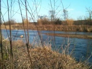 Les Labradors Du Sable des Jhalles