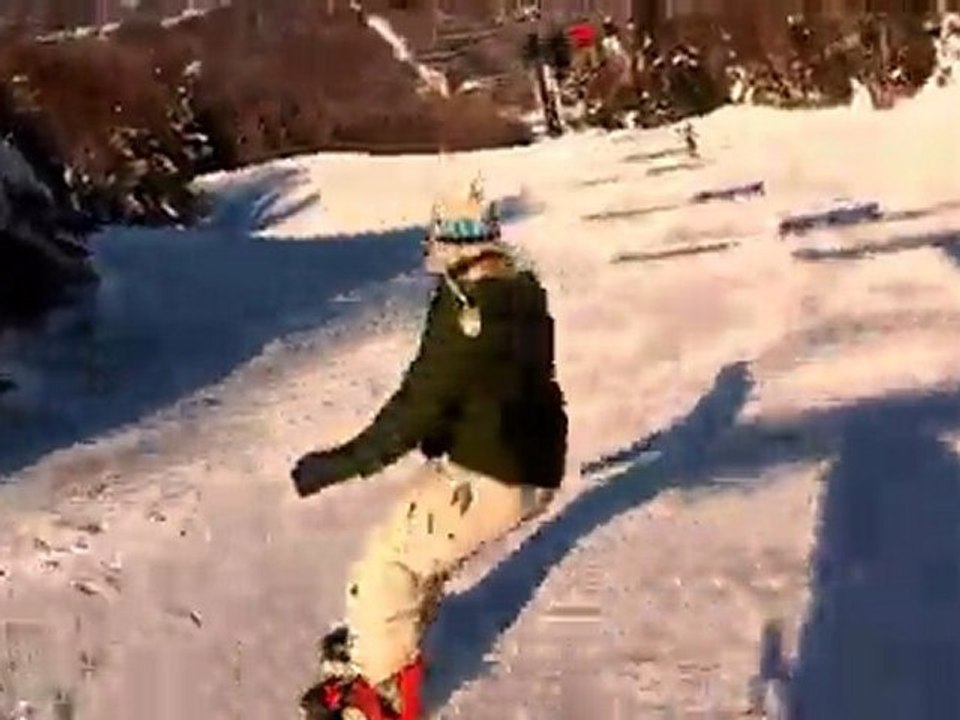 Sutton 2011
