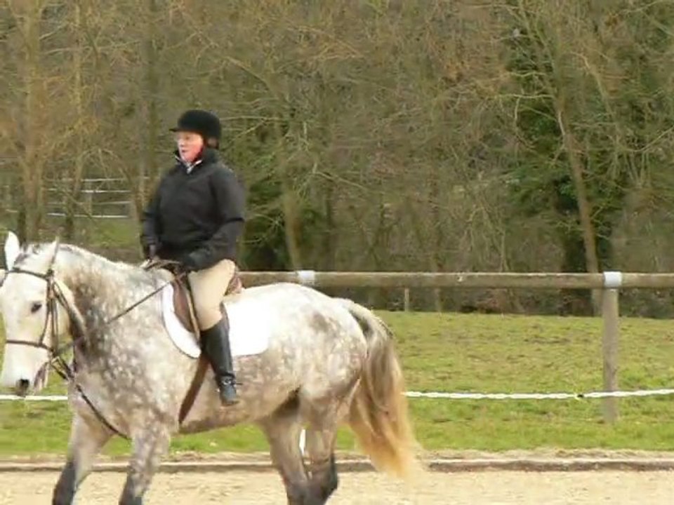 Annie sur Pirate-20.02.2011.dressage club3-ATHLaval-