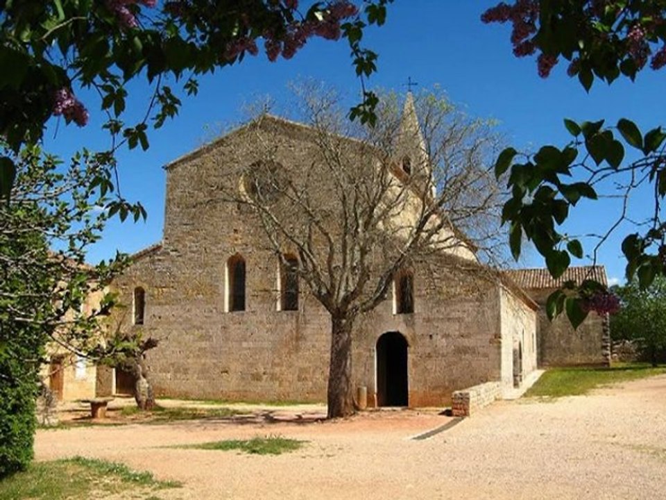 Benedictus-GREGORIAN REGGAE by Harrydread (c) 2011