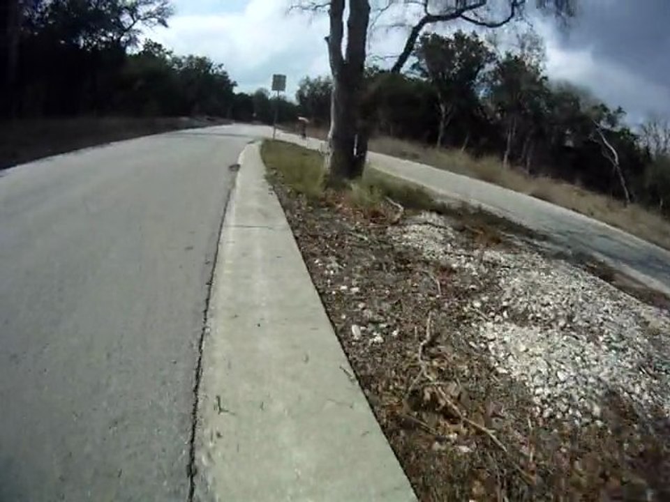 Longboarding in Dancing Bear