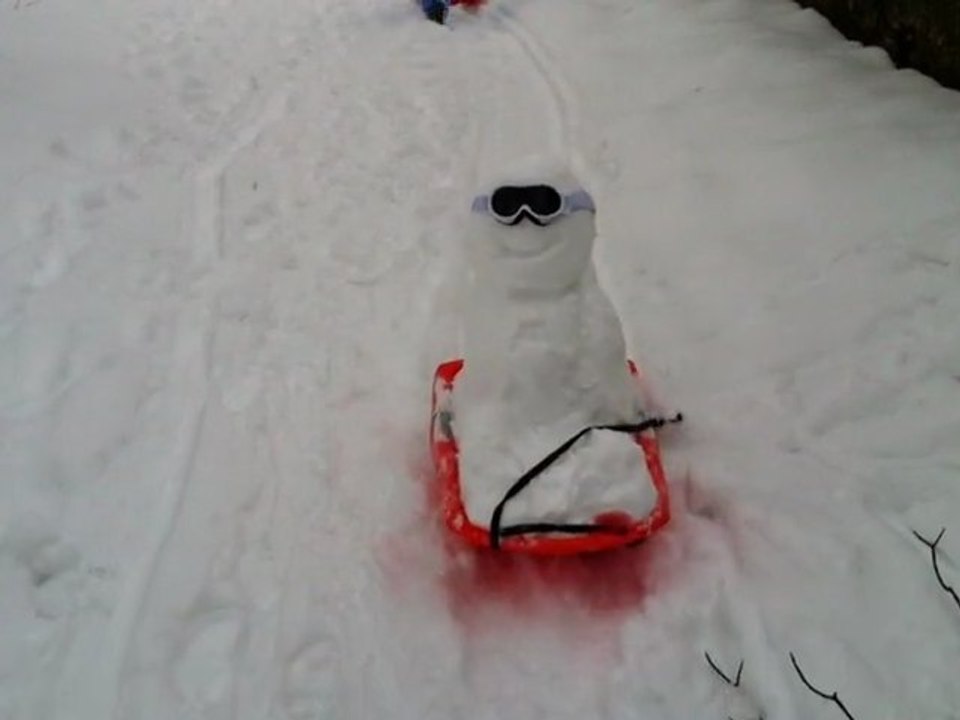 C'est presque la fin de Bourimax