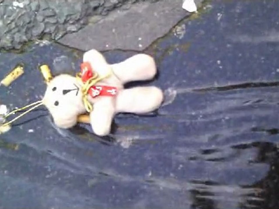 Mégueauxtine     concours vidéEau 2011