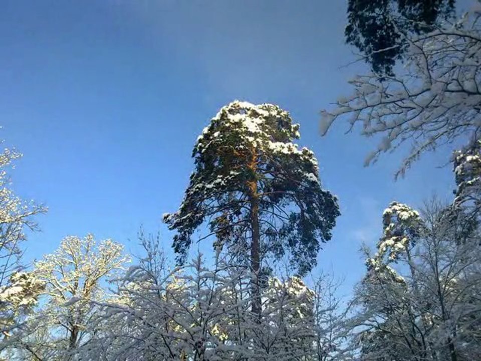 Le soleil Blanc.