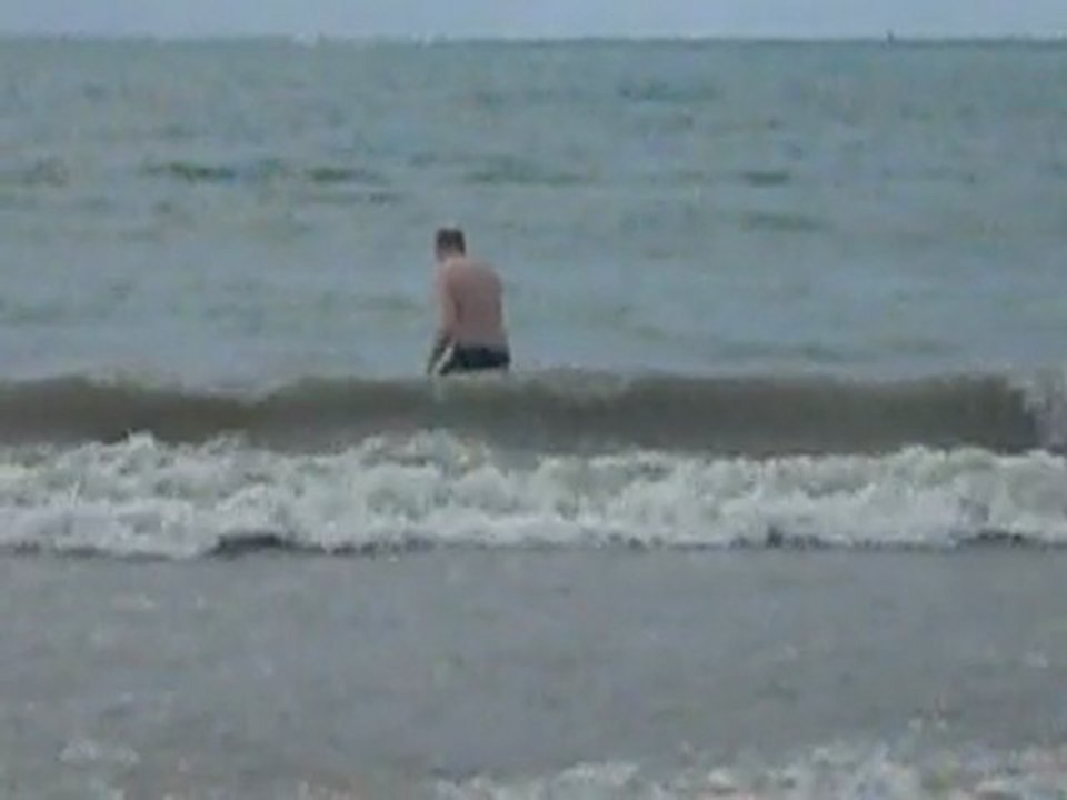dansles vagues