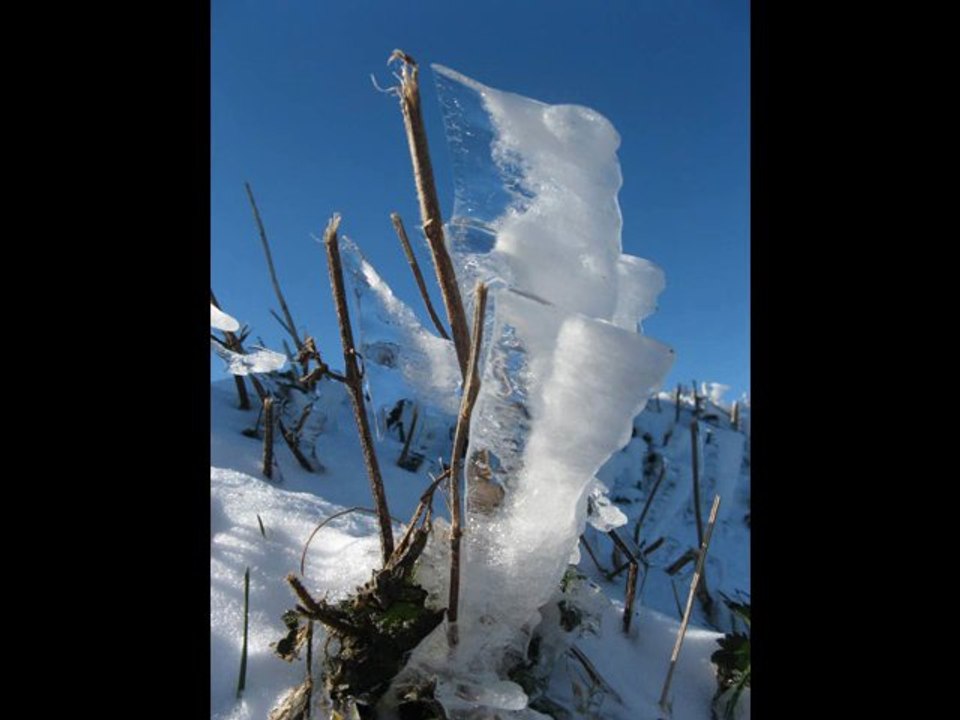 Les glaçons du Bergons
