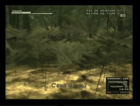 VidéoFan De Metal Gear Solid 3 Snake Eater Sur PS2