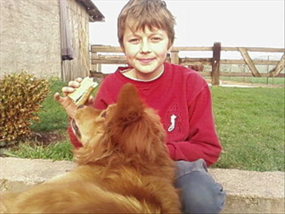 anniversaire  jordan