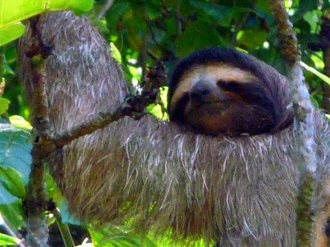 Invitation au voyage Costa Rica - editionslignecontinue.info