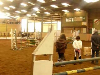 Martin et Rasta 80 cm 13/02/2011