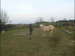 Travail du 23  février 2011 avec Kiss Me