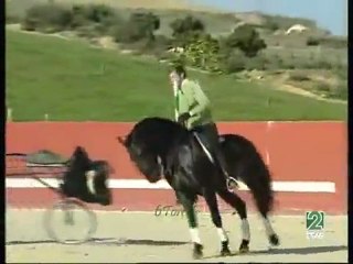 La Tauromaquia De Pablo Hermoso de Mendoza