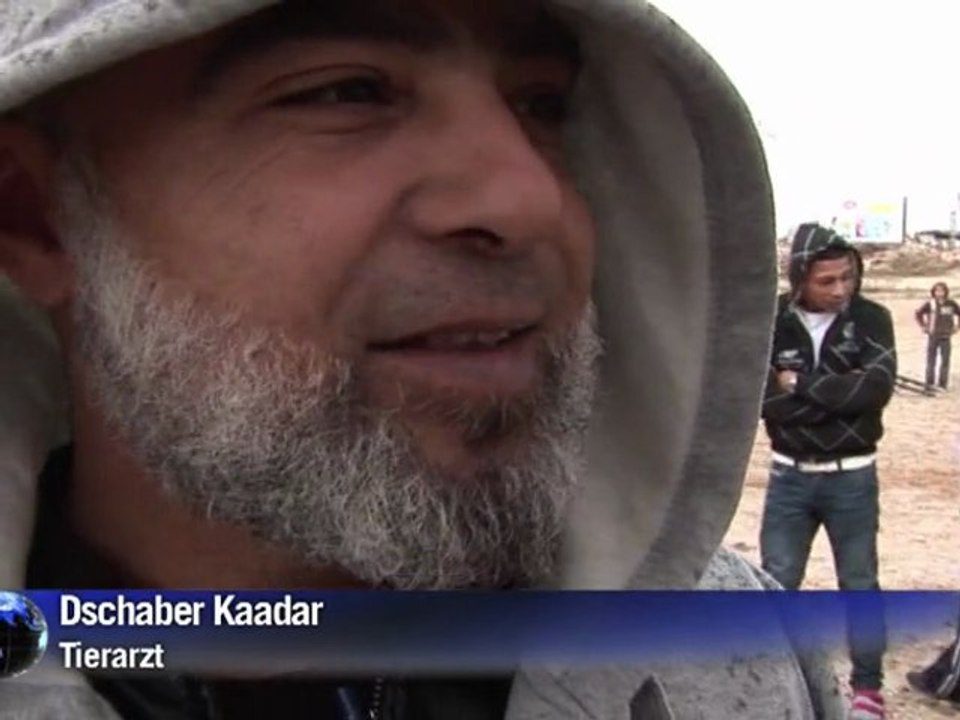 Paradies für geschundene Esel in Israel