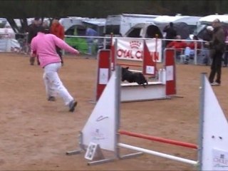 2011-02-20 Vodka cholet