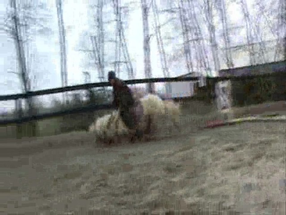 SOS poney Handicapé...