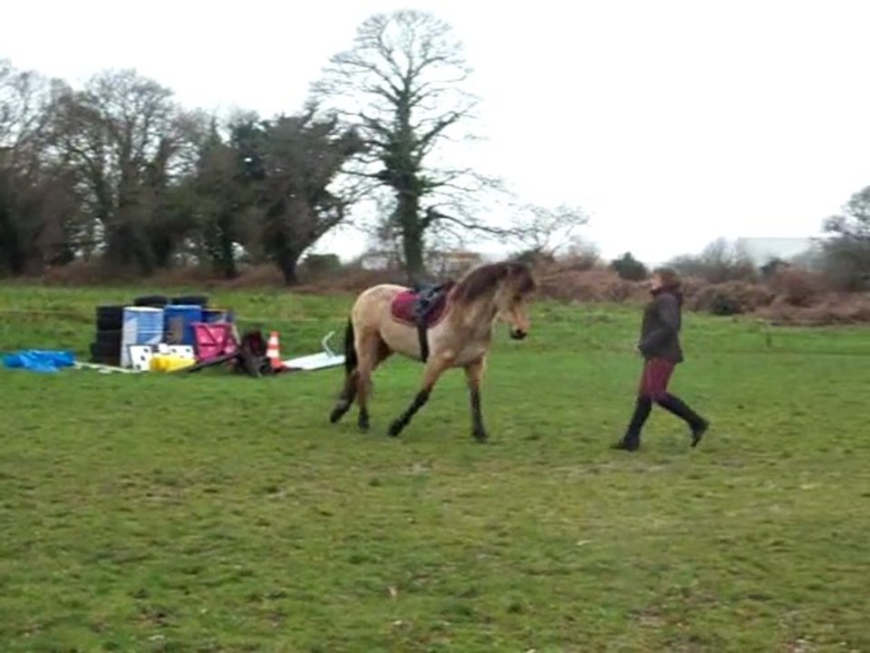 séjour bretagne fevrier 2011