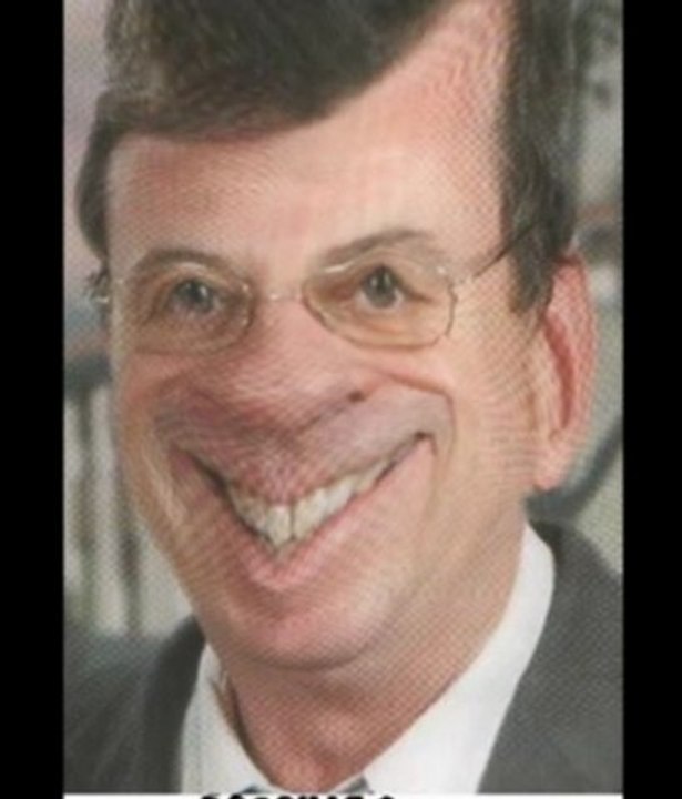 Les Zygs