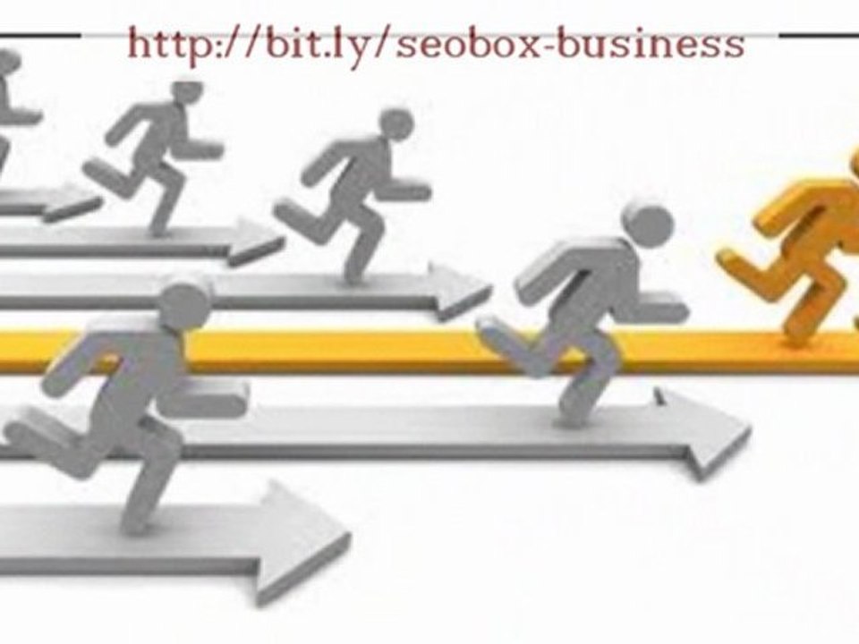 Looking for Seo Training?