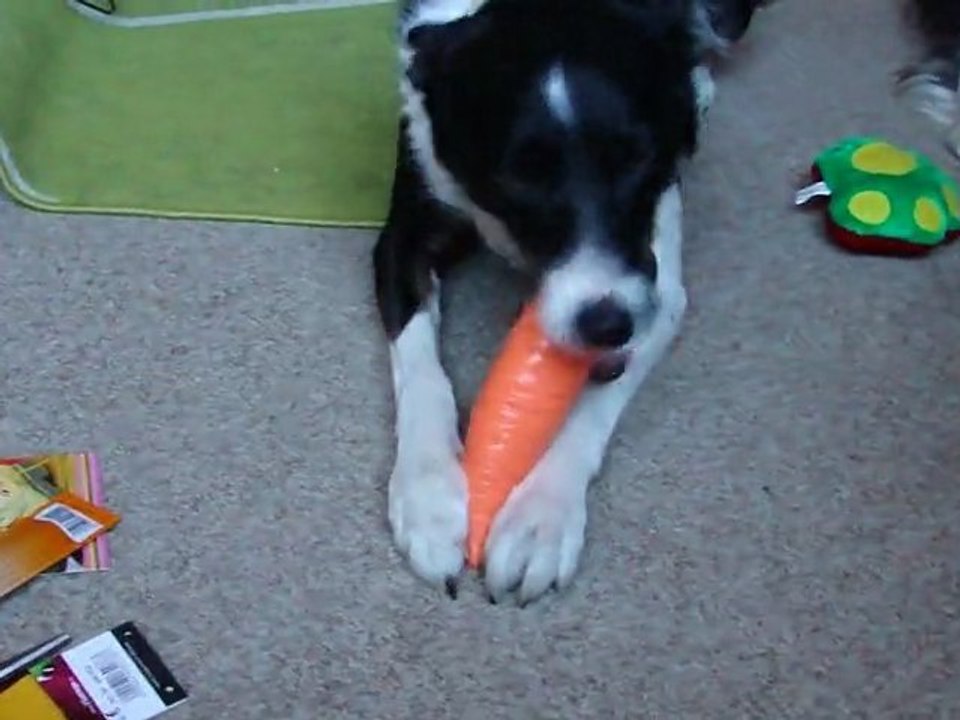 mes chien et leur jouets du swap 2
