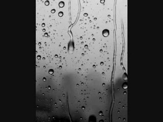 Dominique A   Le sens