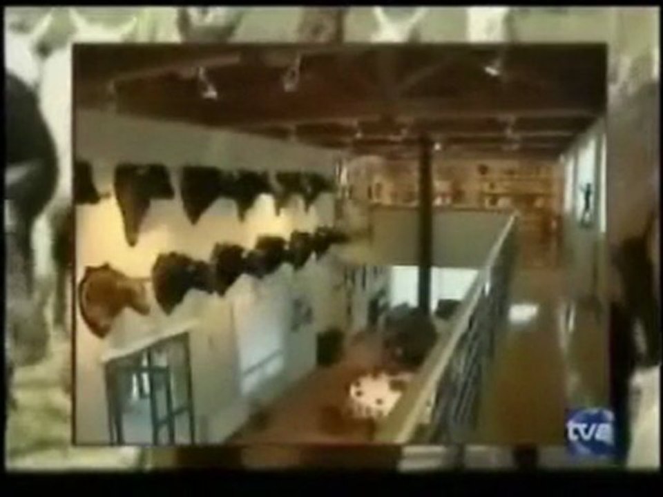 Un torero a caballo UNICO